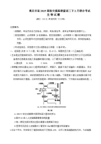 重庆市拔尖强基联盟2024-2025学年高三下学期2月联合考试生物试卷（Word版附答案）