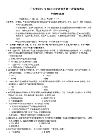 广东省汕头市2024-2025学年高三下学期第一次模拟考试生物试卷（Word版附答案）