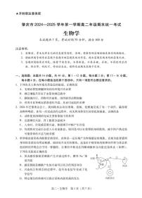 广东省肇庆市2024-2025学年高二上学期期末考试生物试卷（PDF版附答案）