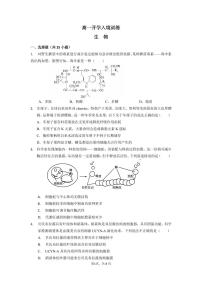 广东实验中学2024-2025学年高一下学期开学考试生物试卷（PDF版附答案）