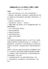 云南省金太阳2024-2025学年高二(上)12月联考生物试卷（解析版）