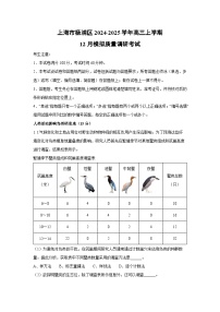 上海市杨浦区2024-2025学年高三(上)12月模拟质量调研考试生物试卷（解析版）