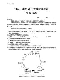 河北省2024-2025高三高考模拟省级联测考试生物+答案