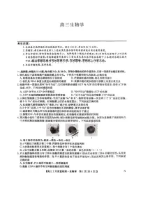 九师联盟2025届高三2月质量检测生物试题+答案