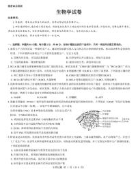 西北名校教研联盟2025届高三下学期2月联考生物试卷+答案