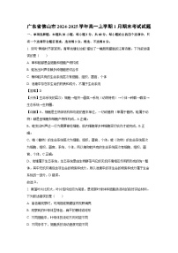 广东省佛山市2024-2025学年高一(上)1月期末考试生物试卷（解析版）