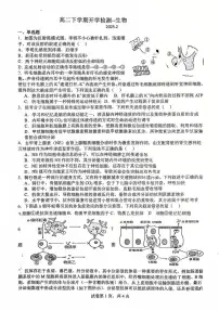 2025北京平谷中学高二（下）开学考生物
