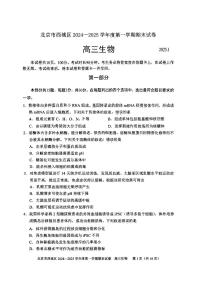 2025北京西城高三（上）期末生物试卷（有答案）