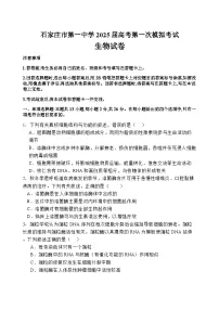 2025届河北省石家庄市第一中学高三下学期高考第一次模拟考试生物学试题（含答案）