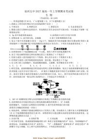 2024～2025学年福建省泉州市五中高一上期末考试生物试卷(含答案)