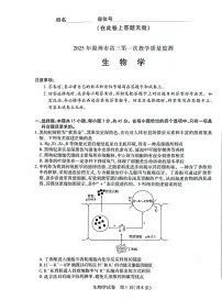 安徽省滁州市2025届高三高考模拟第一次教学质量监测试卷-生物试题+答案