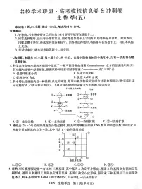 河南省名校学术联盟2025届高三高考模拟下学期信息卷冲刺卷（五）-生物试题+答案