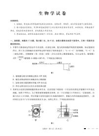 重庆市第八中学2025届高三下学期2月适应性月考卷（五）生物试题（PDF版附解析）
