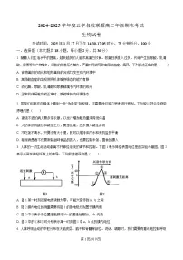 湖北云学名校联盟2024-2025学年高二上学期期末考试生物试题（Word版附解析）