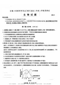 安徽省安徽六校教育研究会2025届高三年级入学素质测试（开学联考）生物试卷+答案