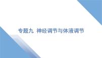 2025年新高考生物二轮专题复习课件板块三稳态与调节3专题九神经调节与体液调节