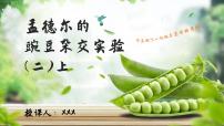高中生物人教版 (2019)必修2《遗传与进化》第2节 孟德尔的豌豆杂交实验（二）优质课件ppt