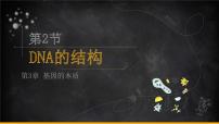 高中生物人教版 (2019)必修2《遗传与进化》第2节 DNA的结构完整版课件ppt