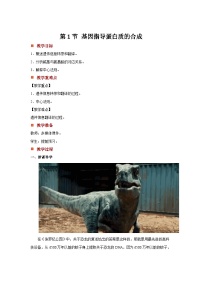 生物人教版 (2019)第4章 基因的表达第1节 基因指导蛋白质的合成优质教案及反思
