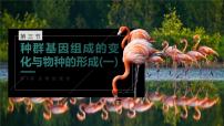 高中生物人教版 (2019)必修2《遗传与进化》一 种群基因组成的变化优秀ppt课件