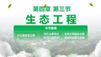 人教版 (2019)选择性必修2第4章 人与环境第3节 生态工程获奖课件ppt