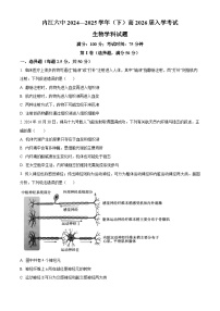 四川省内江市第六中学024-2025学年高二下学期入学考试生物试题（原卷版+解析版）