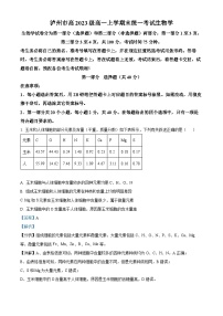 四川省泸州市2023-2024学年高一上学期1月期末考试生物试卷（Word版附解析）