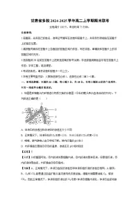 2024-2025学年甘肃省多校高二上学期期末联考生物试卷（解析版）