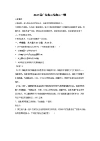 2025届广东省三校高三一模生物试卷（解析版）