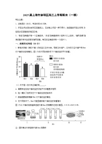 2025届上海市崇明区高三上学期期末（一模）生物试卷（解析版）
