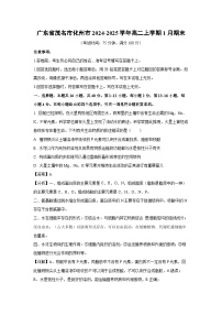 2024~2025学年广东省茂名市化州市高二上学期1月期末生物试卷（解析版）
