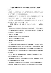 2024~2025学年山东省滨州市高三上学期1月期末生物试卷（解析版）