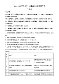 安徽省部分学校2024-2025学年高三下学期3月调研考试生物试题（原卷版+解析版）