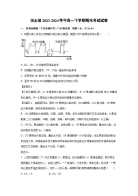 河北省2023-2024学年高一下学期期末考试生物试卷（解析版）