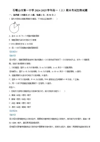 宁夏回族自治区石嘴山市第一中学2024-2025学年高一上学期1月期末考试生物试题（Word版附解析）