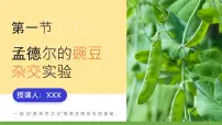 人教版 (2019)必修2《遗传与进化》第1节 盂德尔的豌豆杂交实验（一）集体备课ppt课件
