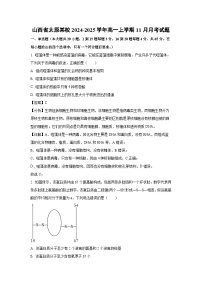 2024-2025学年山西省太原某校高一上学期11月月考生物试卷（解析版）