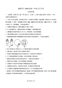 湖北省襄阳市第四中学2024-2025学年高一下学期2月考试生物试卷（Word版附解析）