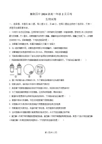 湖北省襄阳市第四中学2024-2025学年高一下学期2月考试生物试卷（Word版附解析）