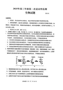 2025届山东省青岛市一模 高三第一次适应性检测 生物试题及答案