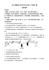 2025省齐齐哈尔高三下学期一模试题生物含答案