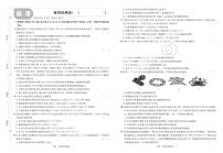 2025高考复习阶段检测卷-生物（一）+答案