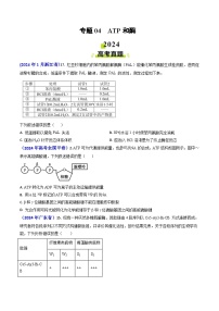 专题04 ATP和酶2024年高考真题和模拟题生物分类汇编(学生卷）