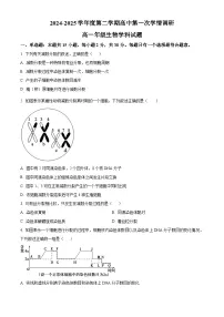 江苏省徐州市沛县2024-2025学年高一下学期3月月考生物试卷（原卷版+解析版）