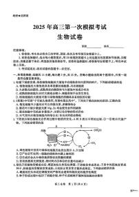 2025届河北省沧州市一模 沧衡八县高三一模考试 生物试题及答案
