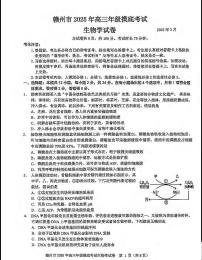生物丨江西省赣州市2025届高三下学期3月年级摸底考试（赣州一模）生物试卷及答案