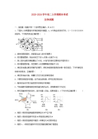 湖北省2023_2024学年高二生物上学期期末考试试题