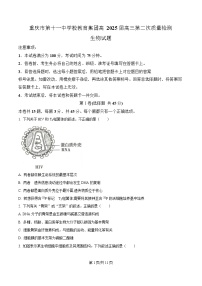 重庆市第十一中学教育集团2024-2025学年高三上学期第二次质量检测生物试卷（Word版附解析）