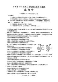 2025邯郸高三下学期3月第三次调研监测试题生物PDF版含答案