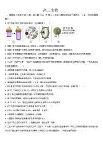 2025梅河口五中高三下学期3月一模试题生物含答案